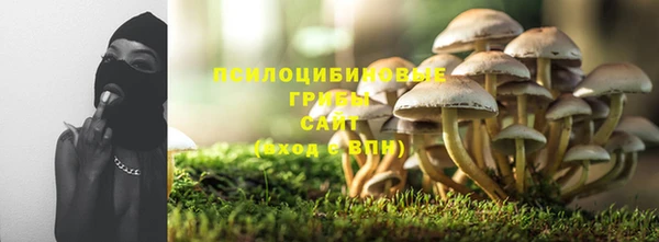 a pvp Алексин