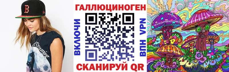 Галлюциногенные грибы GOLDEN TEACHER  где можно купить наркотик  Оса 