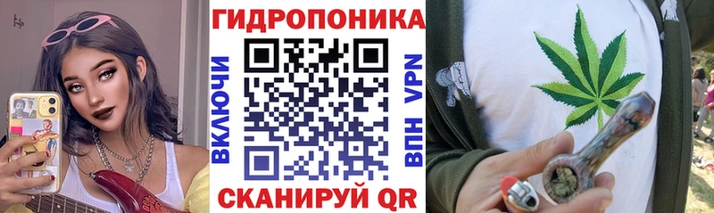 Канабис план  Оса 